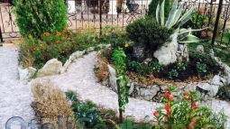 Ландшафтный дворик с тропическими растениями и цветами в отеле в Сочи «Два аиста»