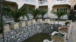 Белая Волна мини-гостиница, бассейн - Открытый бассейн, зона отдыха и тропические растения.